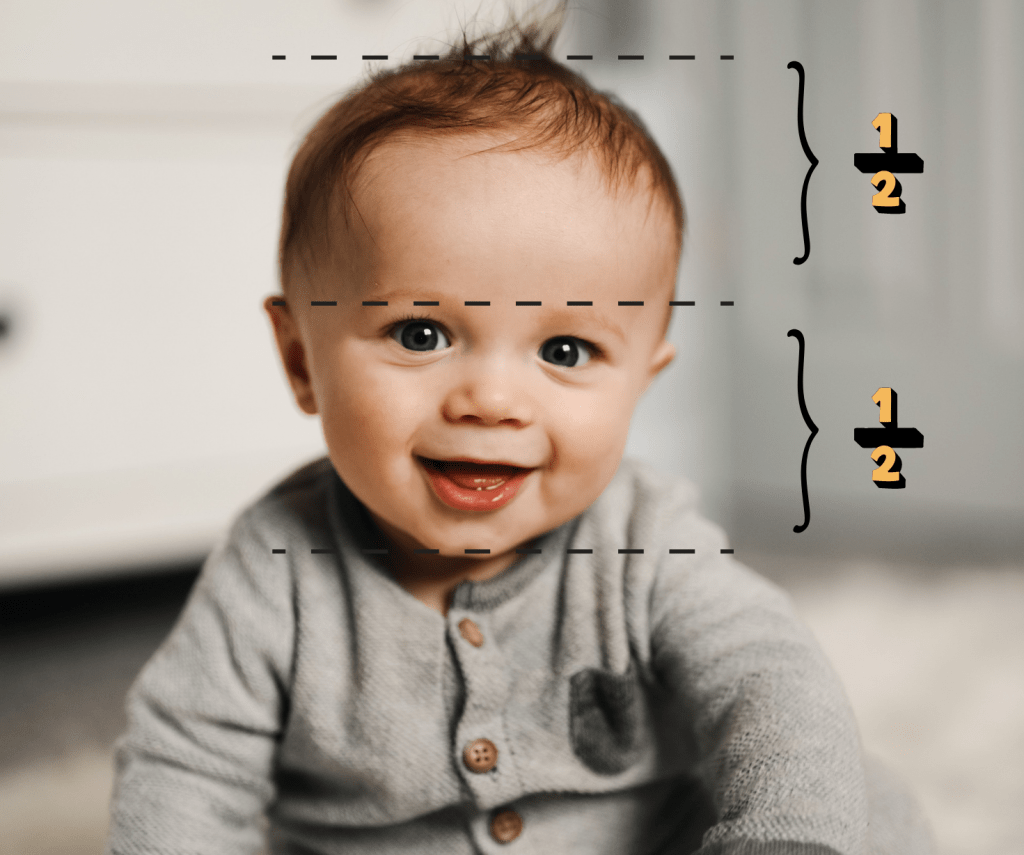 Twarz małego dziecka z naniesionymi punktami, wskazującymi, że linia brwi leży w połowie twarzy.